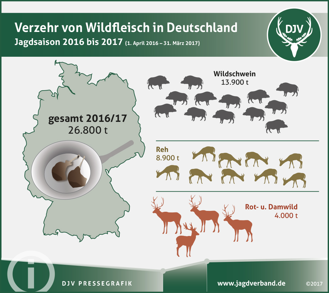 Begehrtes Lebensmittel Wildbret Deutscher Jagdverband